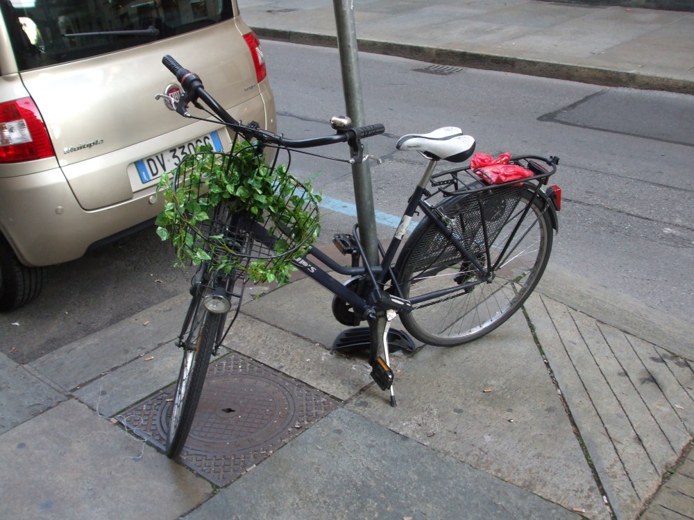 Turin Bycicle