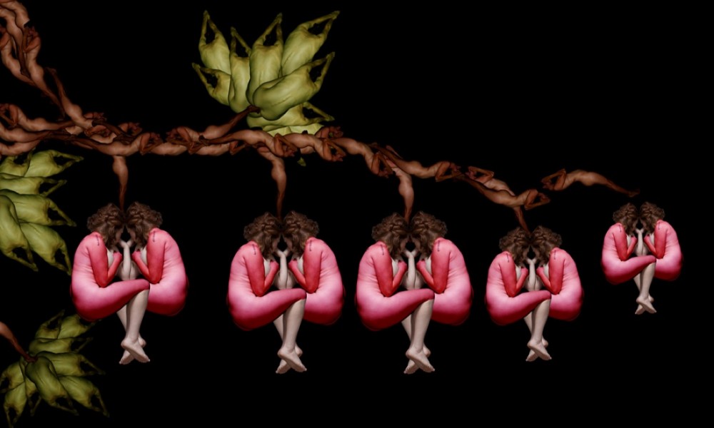 CW-Bleeding_Heart-1000-1000x600